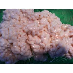 2008�N01��26��_18