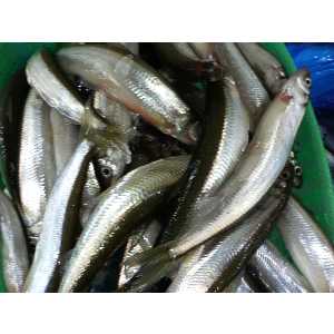 2008�N01��26��_22
