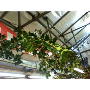 2008�N01��26��_35