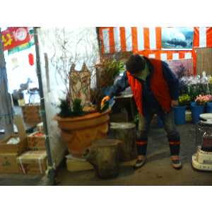 2008�N01��26��_52