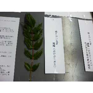 2008�N01��26��_54