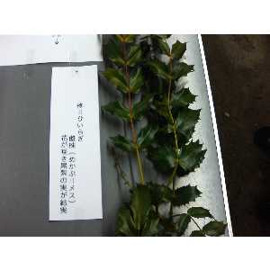 2008�N01��26��_55