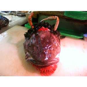 2008�N01��26��_62