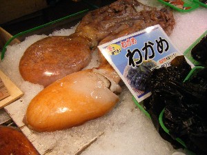 20080301-���T�̔����ł�-_41