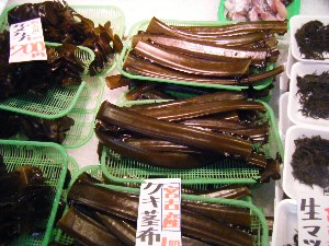 20080301-���T�̔����ł�-_43