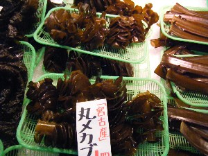 20080301-���T�̔����ł�-_44