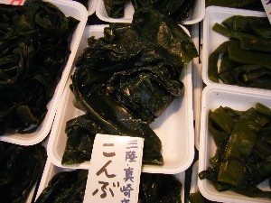 20080301-���T�̔����ł�-_51