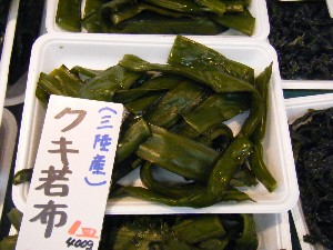 20080301-���T�̔����ł�-_52
