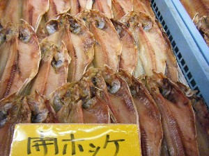 20080301-���T�̔����ł�-_59