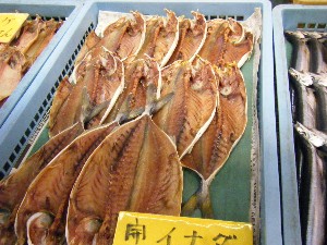 20080301-���T�̔����ł�-_60