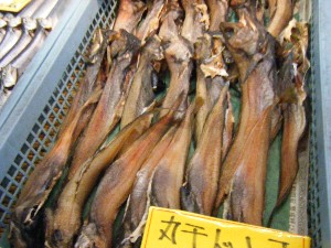 20080301-���T�̔����ł�-_61