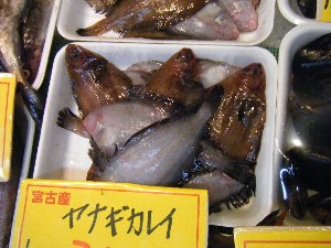 20080301-���T�̔����ł�-_67