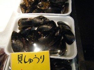 20080301-���T�̔����ł�-_68