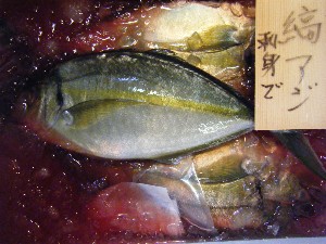 20080301-���T�̔����ł�-_72