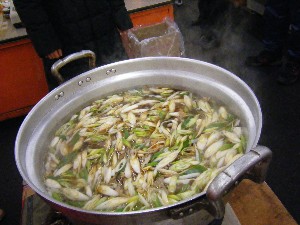 20080301-���T�̔����ł�-_91