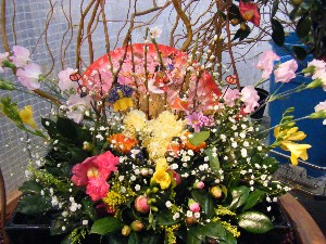 20080301-���T�̔����ł�-_95
