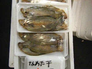 20080301-���T�̔����ł�-_98