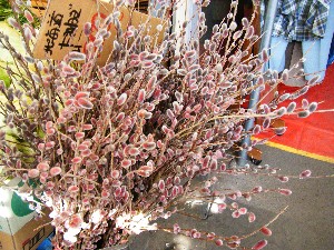 2008/03/08(�y)�̔����ł�_3