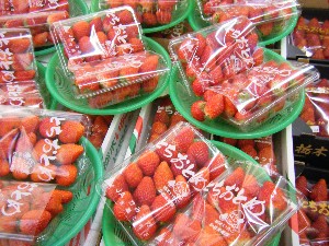 2008/03/08(�y)�̔����ł�_4