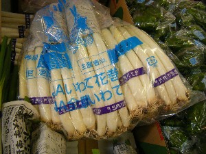 2008/03/08(�y)�̔����ł�_5