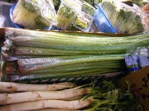 2008/03/08(�y)�̔����ł�_7