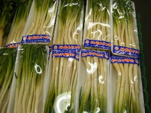 2008/03/08(�y)�̔����ł�_8