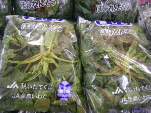 2008/03/08(�y)�̔����ł�_9