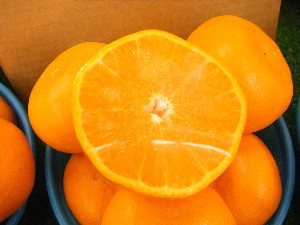 2008/03/08(�y)�̔����ł�_10