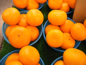 2008/03/08(�y)�̔����ł�_11