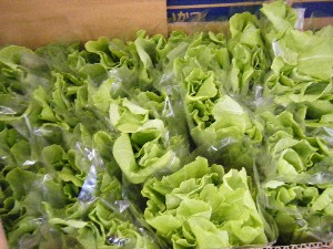 2008/03/08(�y)�̔����ł�_16