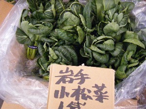 2008/03/08(�y)�̔����ł�_17