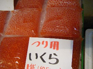 2008/03/08(�y)�̔����ł�_24