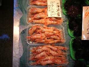 2008/03/08(�y)�̔����ł�_31
