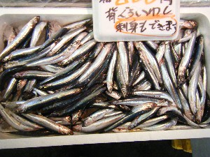 2008/03/08(�y)�̔����ł�_33