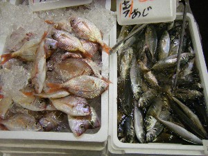 2008/03/08(�y)�̔����ł�_34