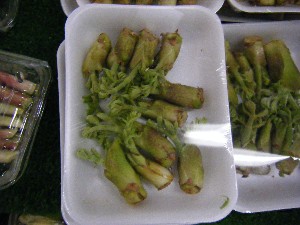 200710315���T�̔����ł�_5