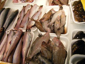 200710315���T�̔����ł�_32