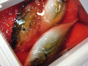 200710315���T�̔����ł�_39
