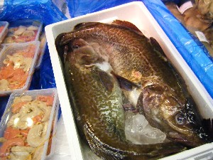 200710315���T�̔����ł�_41