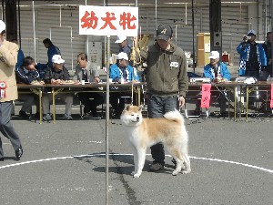 -20070413 ������ōs��ꂽ��茧�H�c���ۑ����̓W����ł�-_20