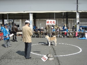 -20070413 ������ōs��ꂽ��茧�H�c���ۑ����̓W����ł�-_21