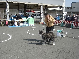 -20070413 ������ōs��ꂽ��茧�H�c���ۑ����̓W����ł�-_23