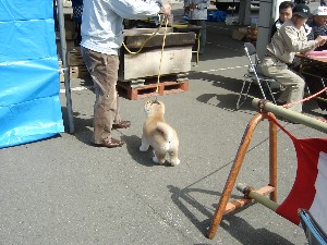 -20070413 ������ōs��ꂽ��茧�H�c���ۑ����̓W����ł�-_25