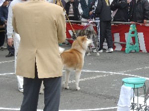 -20070413 ������ōs��ꂽ��茧�H�c���ۑ����̓W����ł�-_29