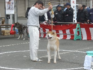 -20070413 ������ōs��ꂽ��茧�H�c���ۑ����̓W����ł�-_30