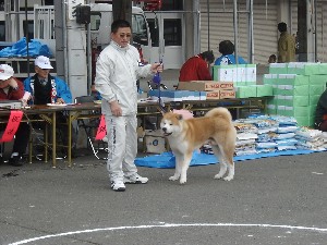 -20070413 ������ōs��ꂽ��茧�H�c���ۑ����̓W����ł�-_31