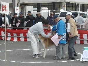 -20070413 ������ōs��ꂽ��茧�H�c���ۑ����̓W����ł�-_32