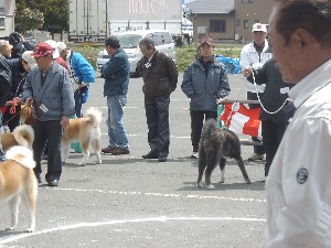 -20070413 ������ōs��ꂽ��茧�H�c���ۑ����̓W����ł�-_64
