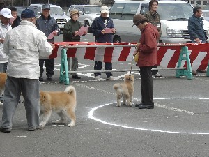 -20070413 ������ōs��ꂽ��茧�H�c���ۑ����̓W����ł�-_65