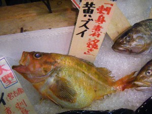 -20070419 ���T�̔����ł�-_23